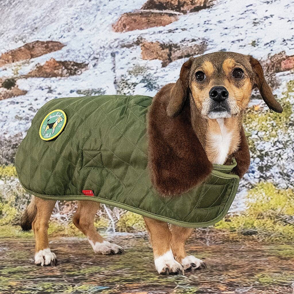 HIGHLAND QUILTED COAT / KHAKI - 7