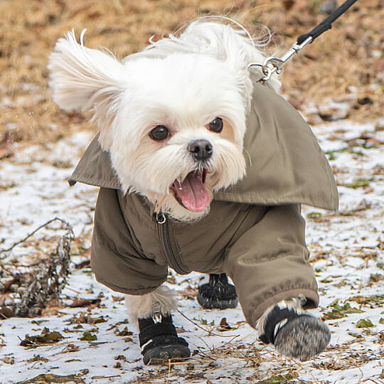 HIKER (B type) / BLACK - 6
