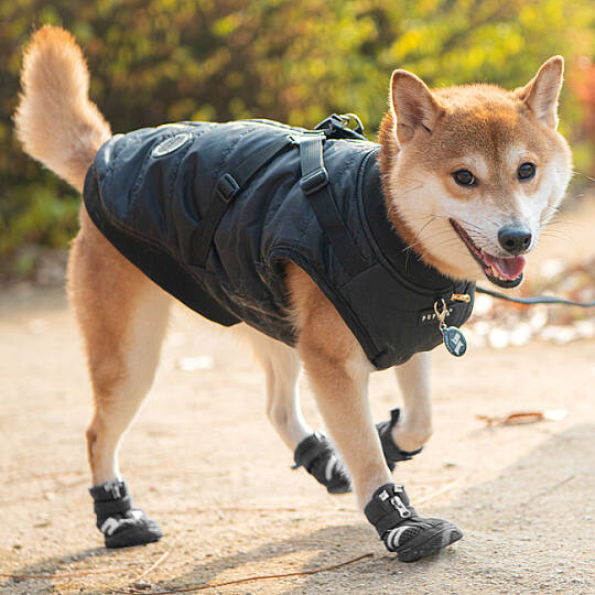 HIKER (B type) / BLACK - 8