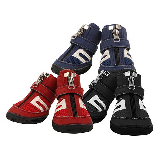 HIKER (B type) / RED - 4