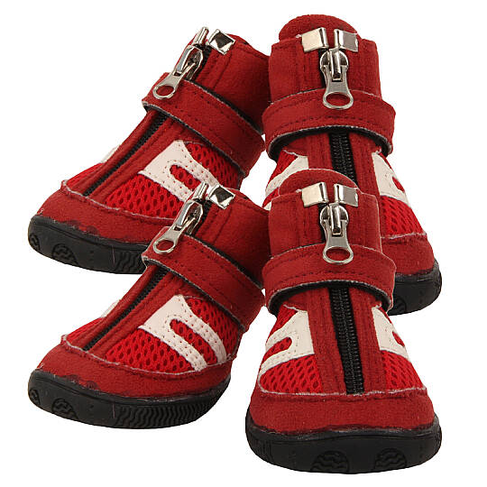 HIKER (B type) / RED - 2
