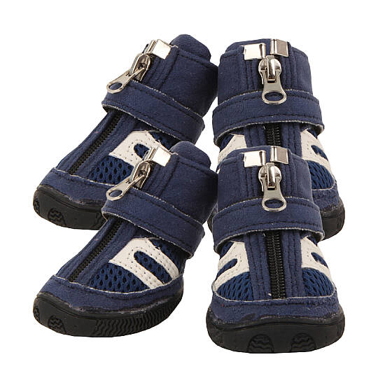 HIKER (B type) / ROYAL BLUE - 2