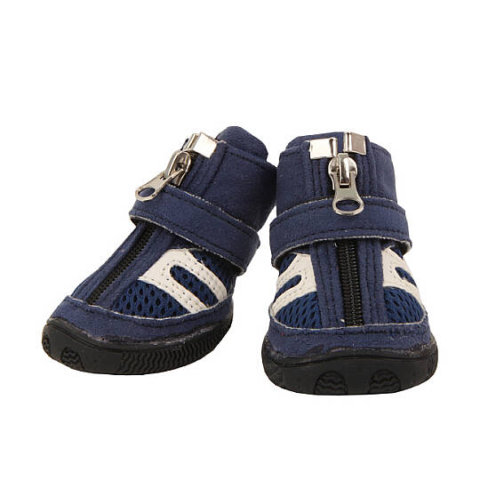 HIKER (B type) / ROYAL BLUE