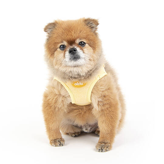 HUG HARNESS/YELLOW - 4