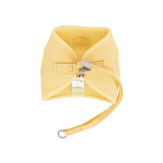 HUG HARNESS/YELLOW