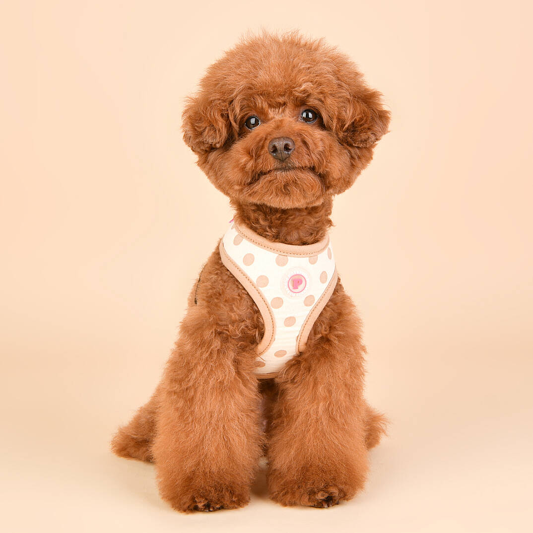 IDA HARNESS / BEIGE - 6