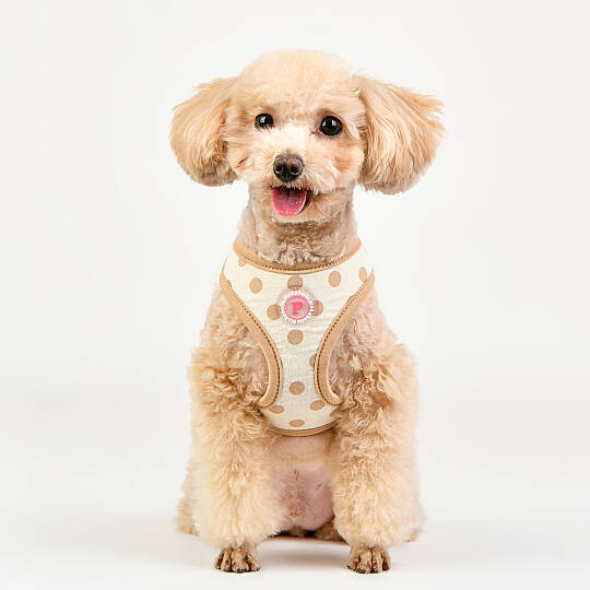 IDA HARNESS / BEIGE - 7