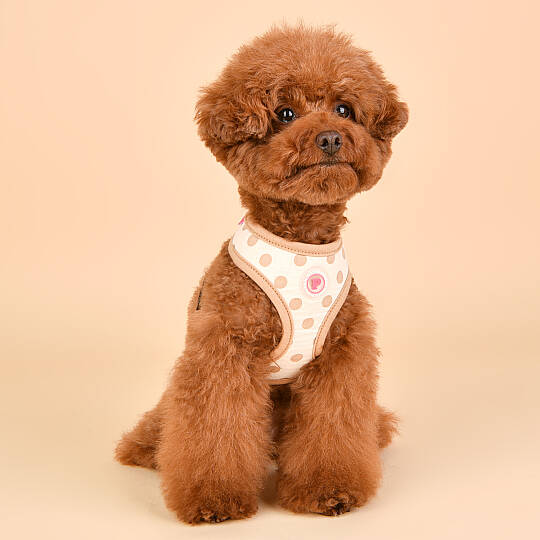 IDA HARNESS / BEIGE - 8