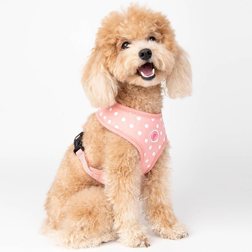 IDA HARNESS / INDIAN PINK - 6