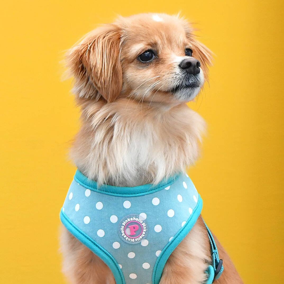 IDA HARNESS / MINT - 5
