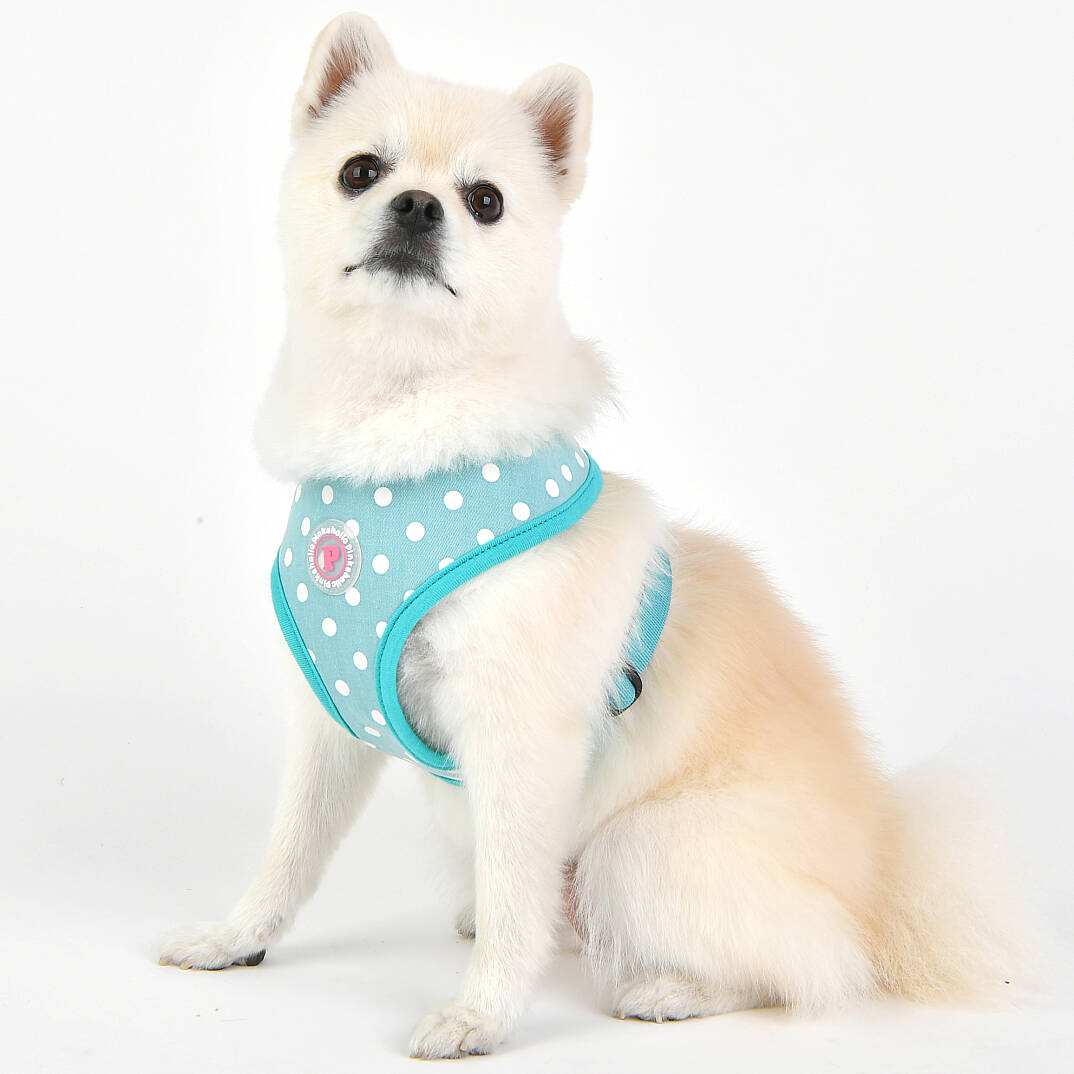 IDA HARNESS / MINT - 6