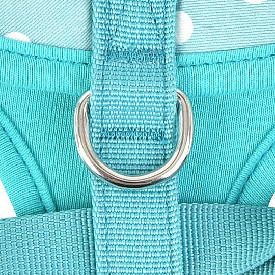 IDA HARNESS / MINT - 3