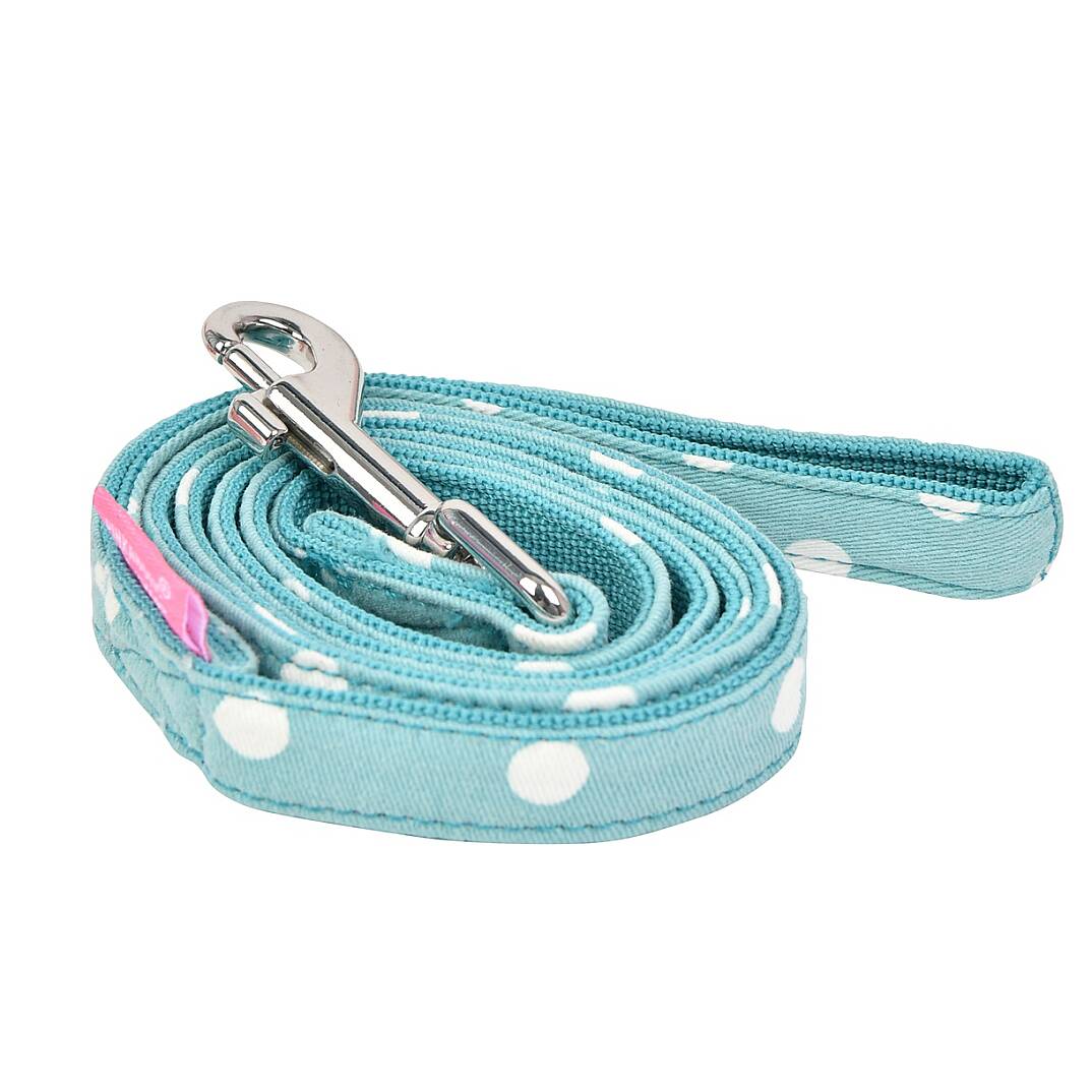 IDA LEASH / MINT - 1