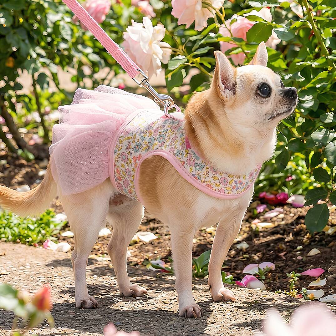 IONE HARNESS D/LT.PINK - 5