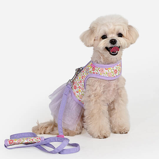 IONE HARNESS D/VIOLET - 6