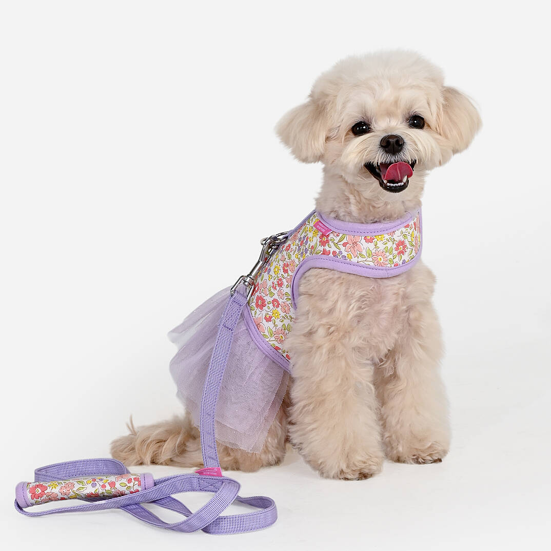 IONE HARNESS D/VIOLET - 6