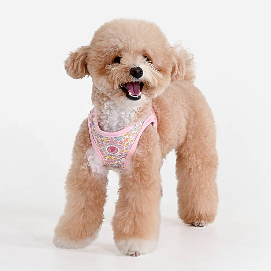 IONE VEST HARNESS/LT.PINK - 5
