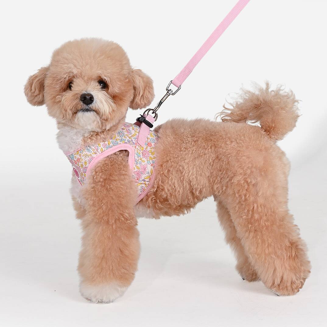 IONE VEST HARNESS/LT.PINK - 9