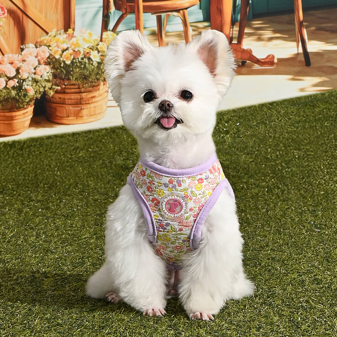 IONE VEST HARNESS/VIOLET - 6
