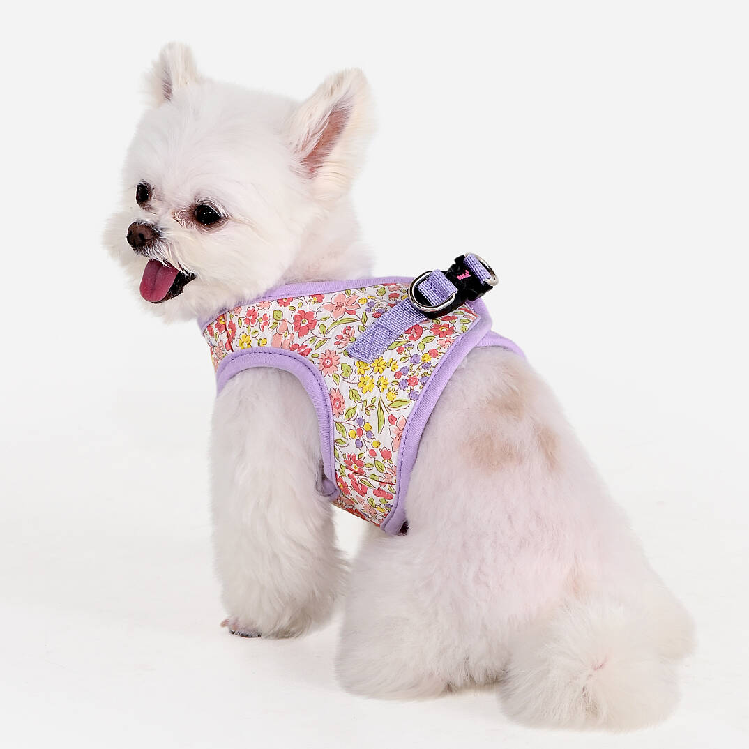 IONE VEST HARNESS/VIOLET - 7