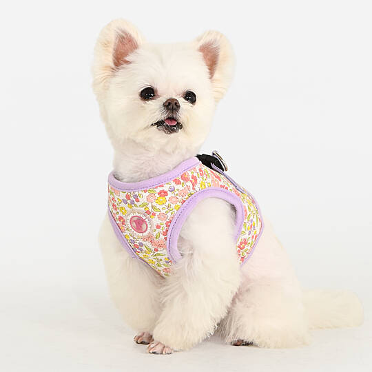 IONE VEST HARNESS/VIOLET - 8