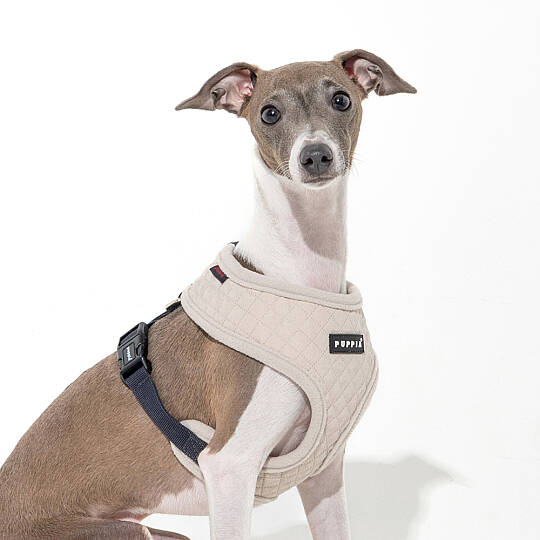 IRVIN HARNESS A/CREAM/PAYD-HA2138-CM - 3