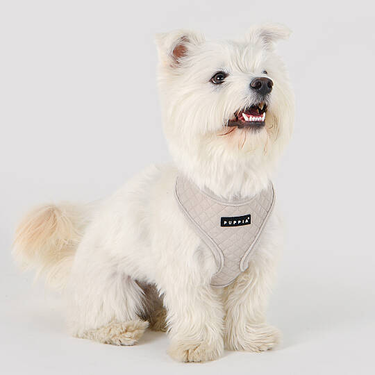 IRVIN HARNESS A/CREAM/PAYD-HA2138-CM - 5