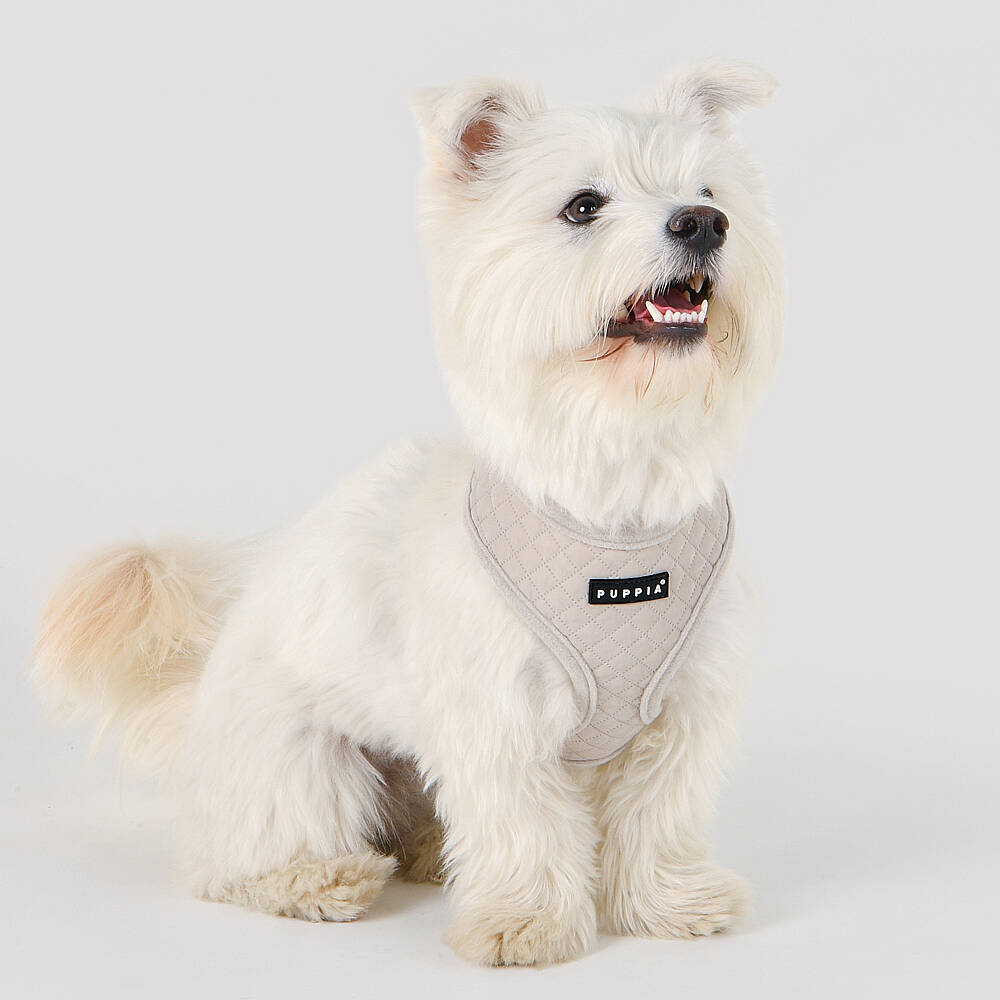 IRVIN HARNESS A/CREAM/PAYD-HA2138-CM - 5
