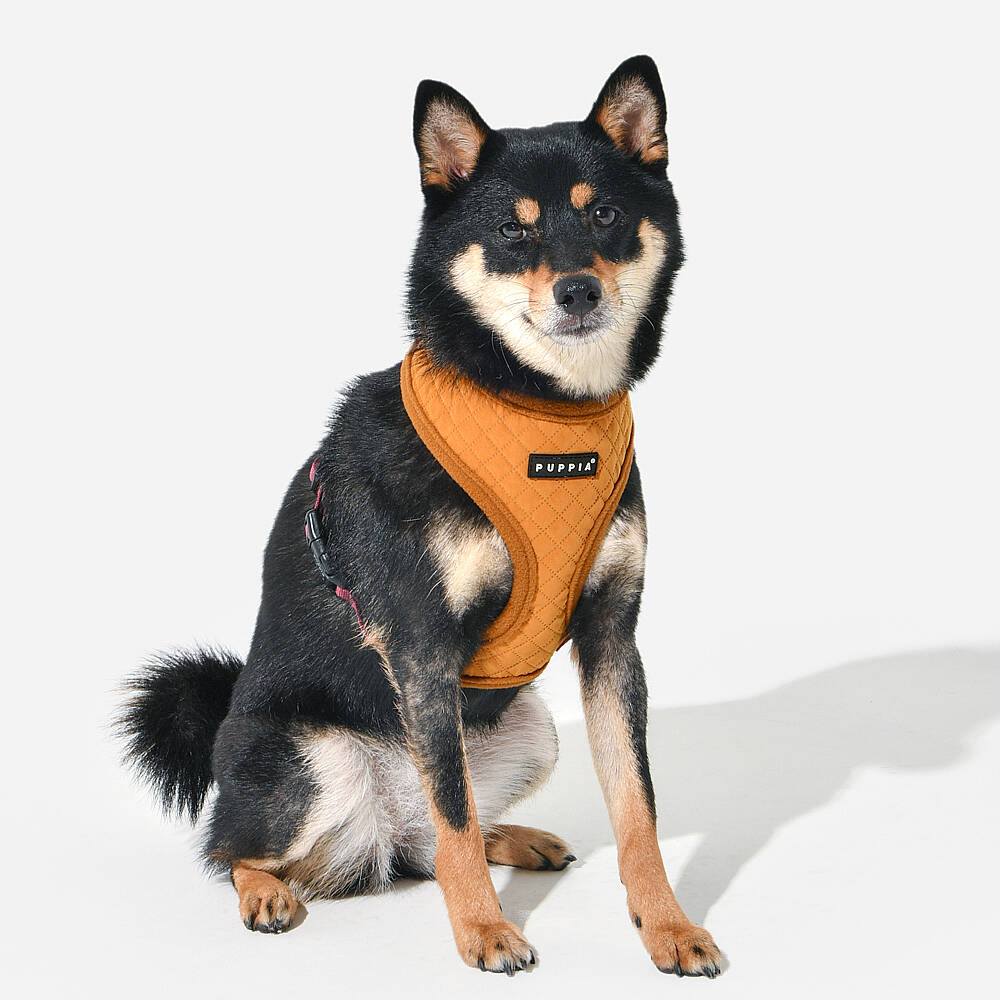 IRVIN HARNESS A/MUSTARD/PAYD-HA2138-MS - 3