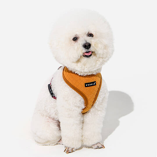 IRVIN HARNESS A/MUSTARD/PAYD-HA2138-MS - 4