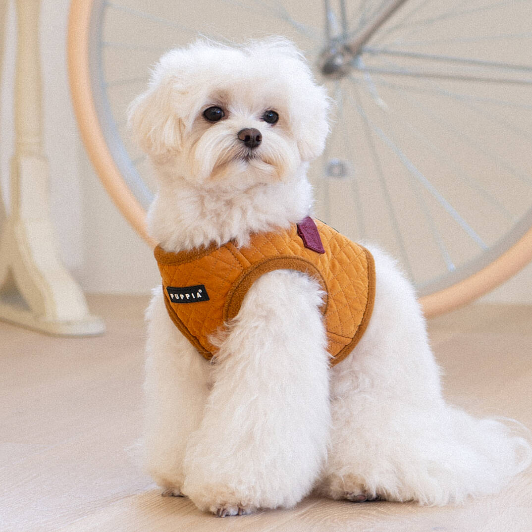 IRVIN HARNESS B/MUSTARD/PAYD-HB2138-MS - 4