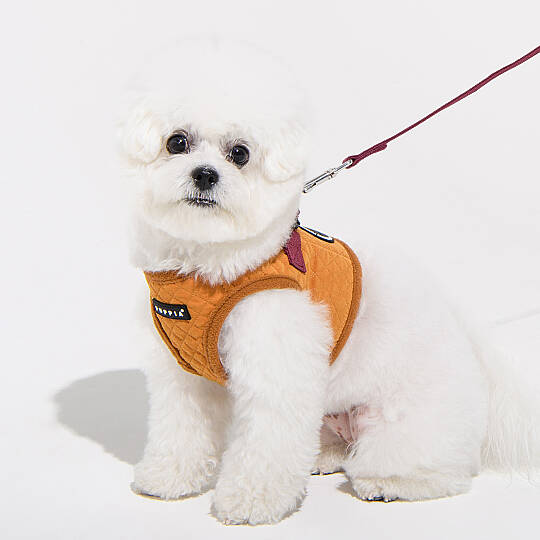 IRVIN HARNESS B/MUSTARD/PAYD-HB2138-MS - 5