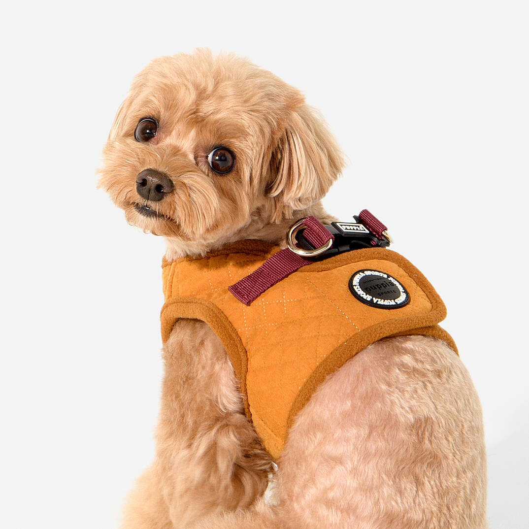 IRVIN HARNESS B/MUSTARD/PAYD-HB2138-MS - 6
