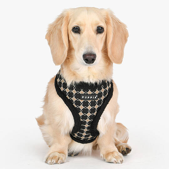 Jace Harness A/BLACK/PAXD-HA2052-BK - 4