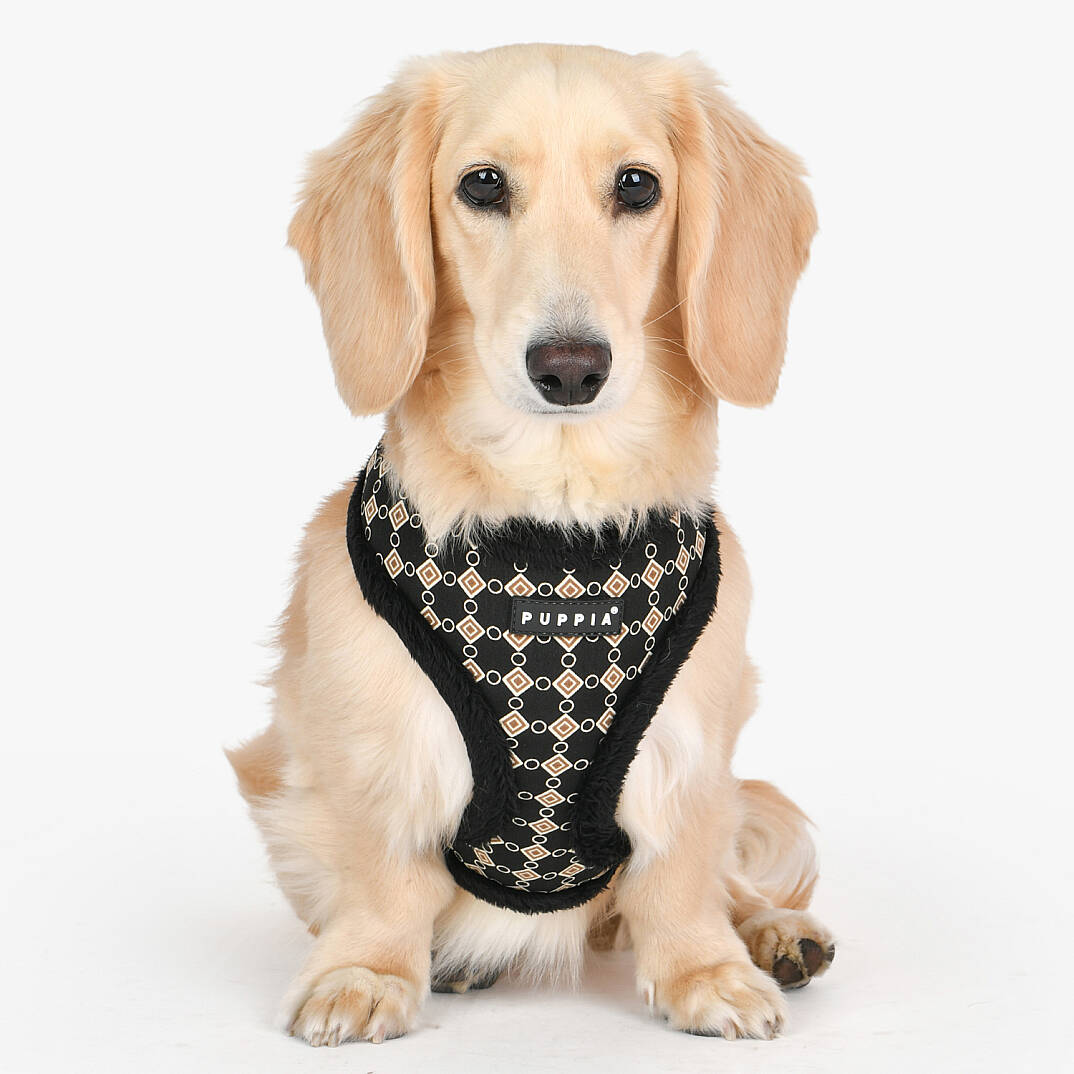 Jace Harness A/BLACK/PAXD-HA2052-BK - 4