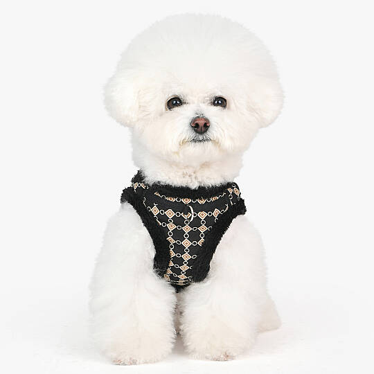 Jace Harness B/BLACK/PAXD-HB2052-BK - 4