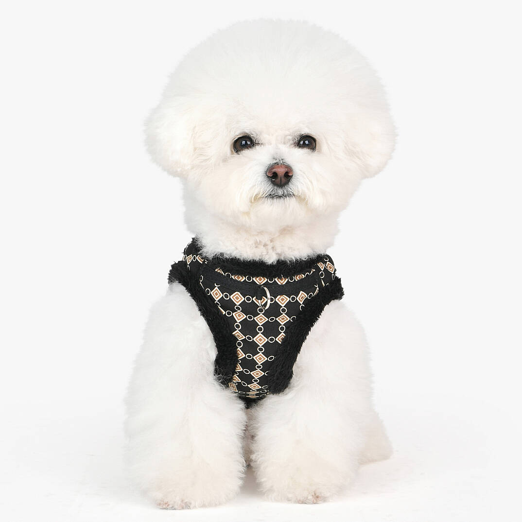 Jace Harness B/BLACK/PAXD-HB2052-BK - 4
