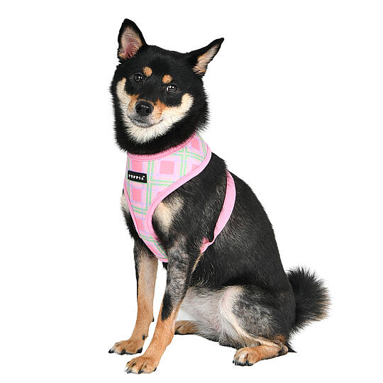 JAYLEN HARNESS A / PINK - 7