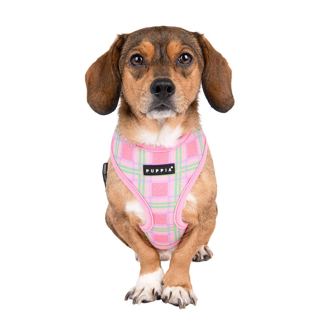 JAYLEN HARNESS A / PINK - 8
