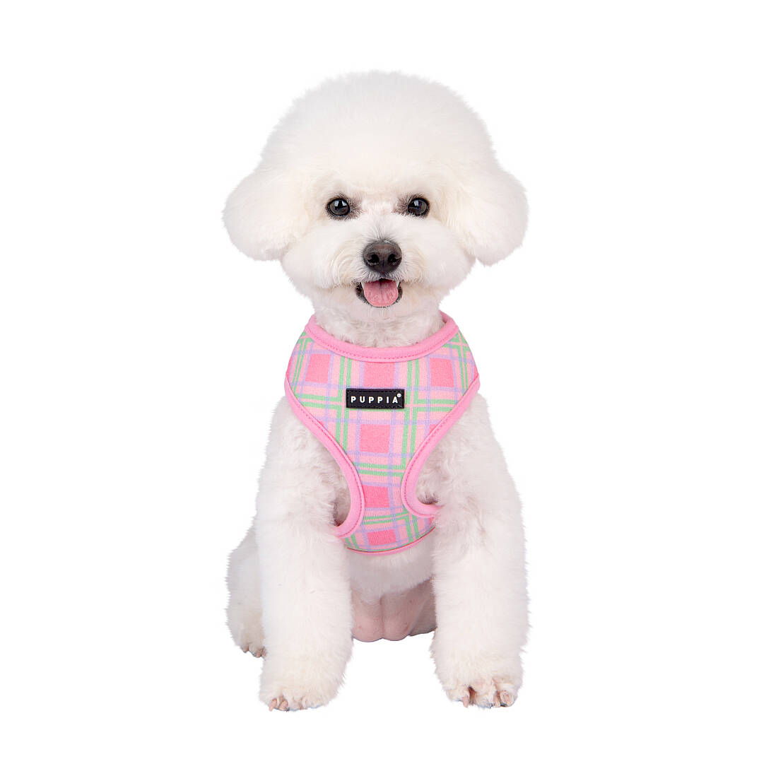 JAYLEN HARNESS A / PINK - 9