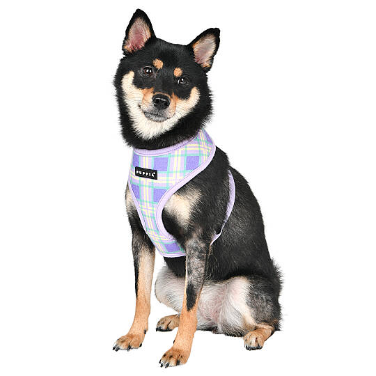 JAYLEN HARNESS A / VIOLET - 7