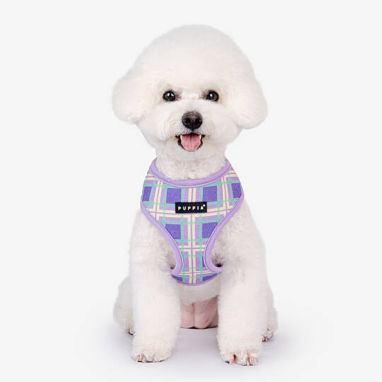 JAYLEN HARNESS A / VIOLET - 9