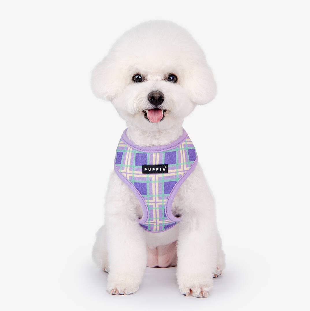JAYLEN HARNESS A / VIOLET - 9