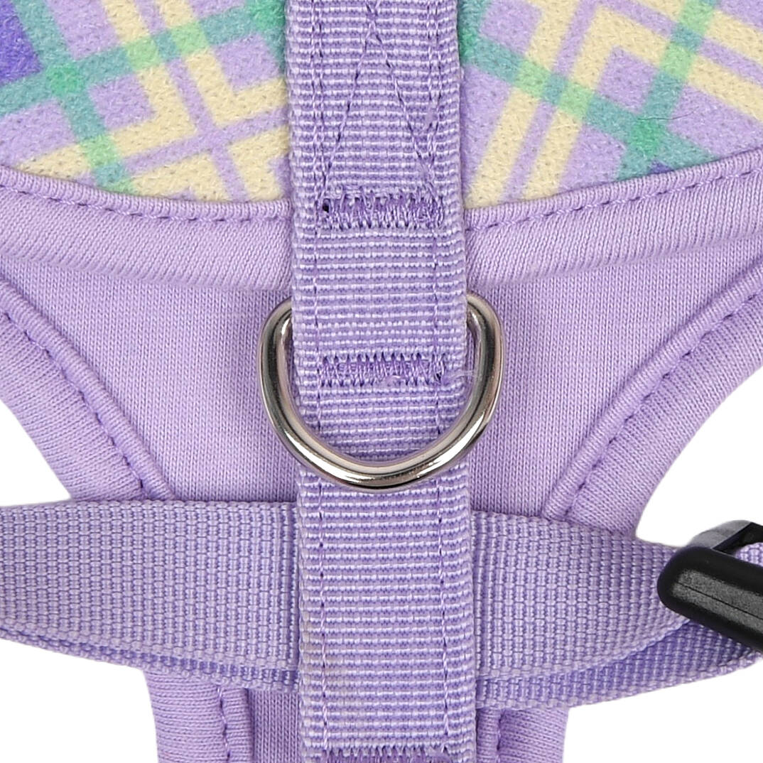 JAYLEN HARNESS A / VIOLET - 4