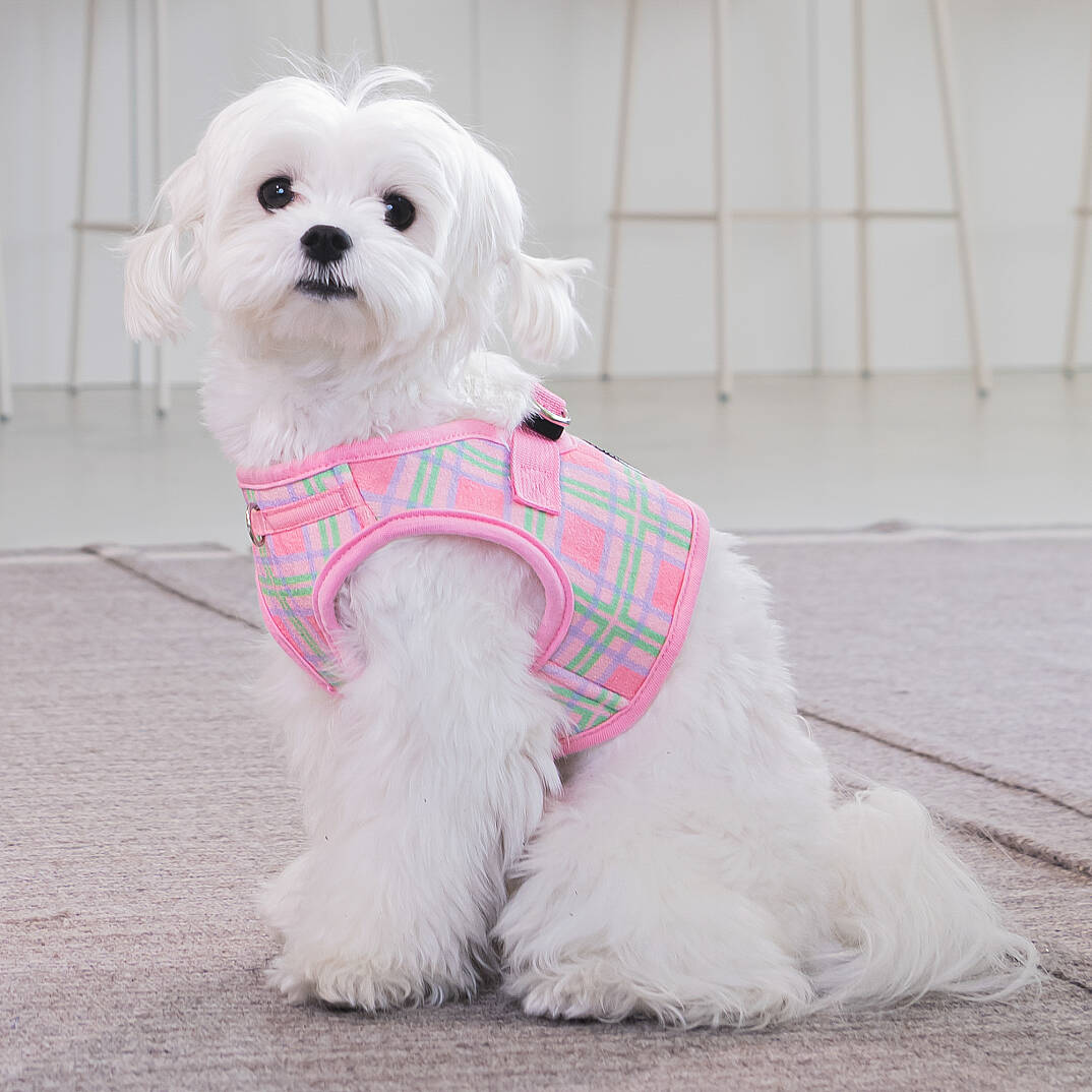 JAYLEN HARNESS B / PINK - 7