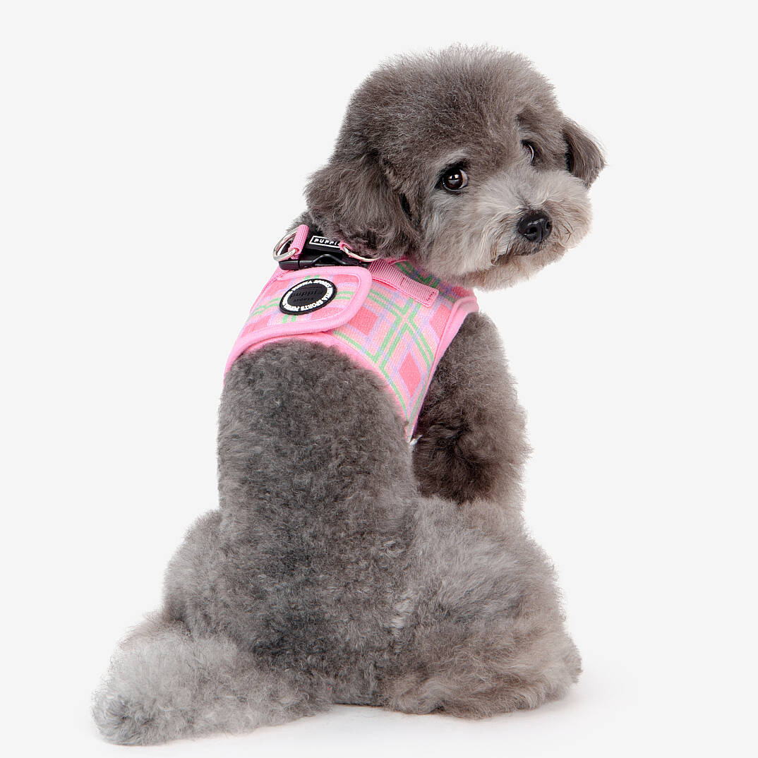 JAYLEN HARNESS B / PINK - 9