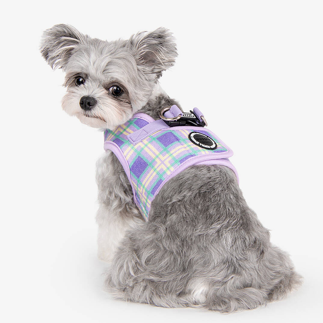JAYLEN HARNESS B / VIOLET - 8