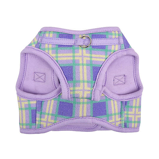 JAYLEN HARNESS B / VIOLET - 2