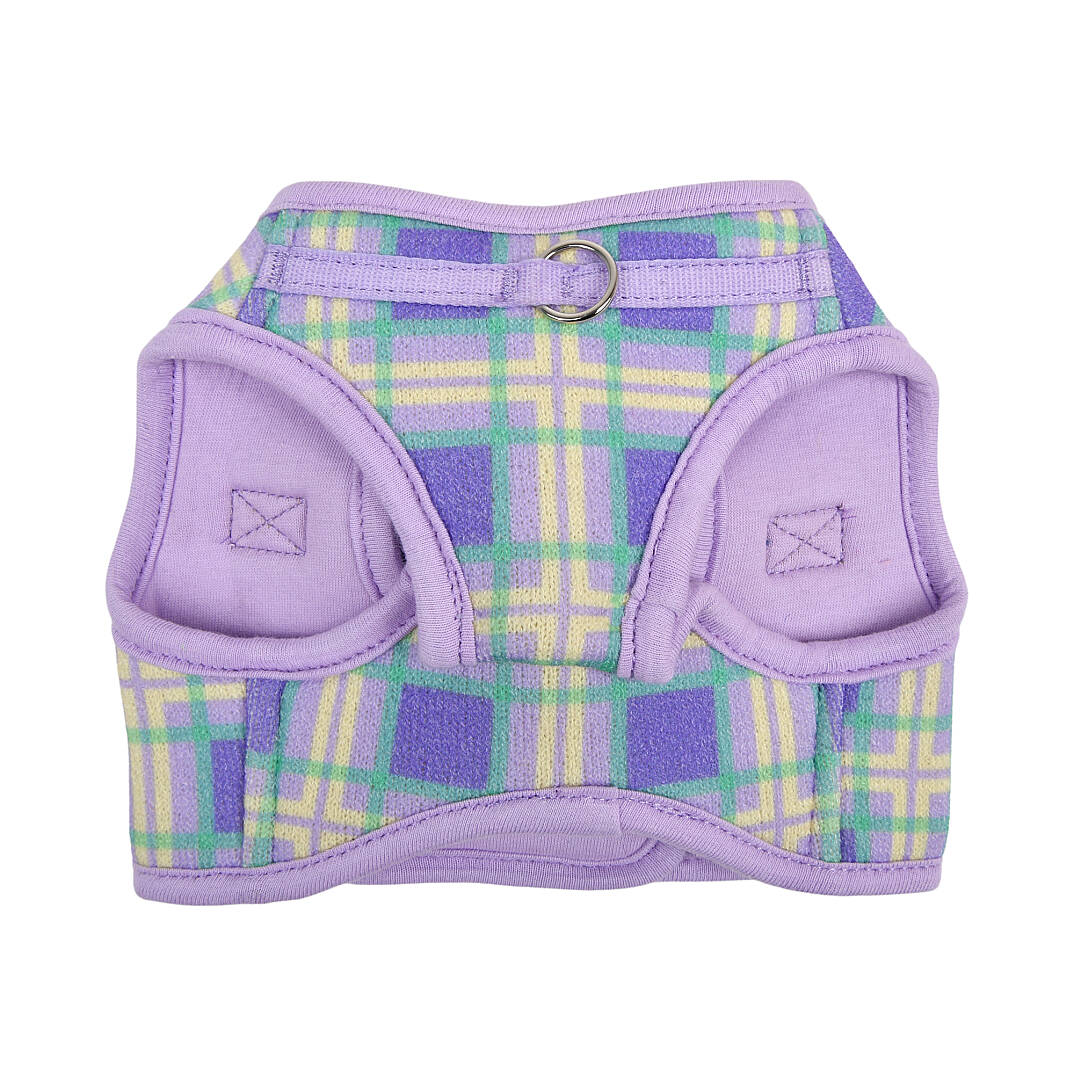 JAYLEN HARNESS B / VIOLET - 2