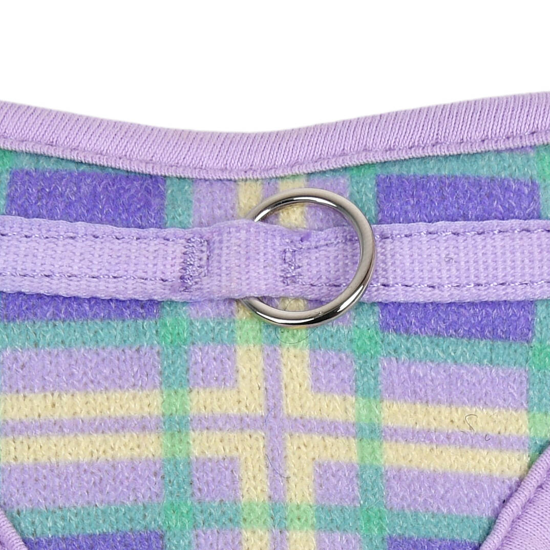 JAYLEN HARNESS B / VIOLET - 5